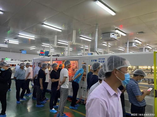 科技引领，共谋未来 润马光能光伏交流暨招商会东营站圆满落幕